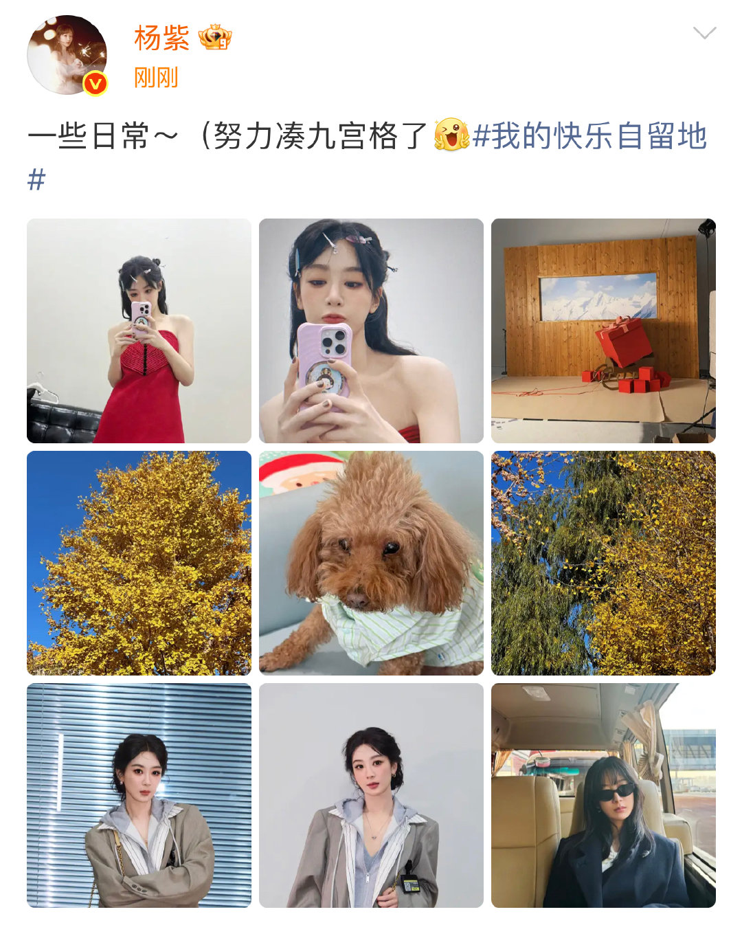 杨紫努力凑九宫格！杨紫晒九宫格日常，并配文:“一些日常～（努力凑九宫格了）” 