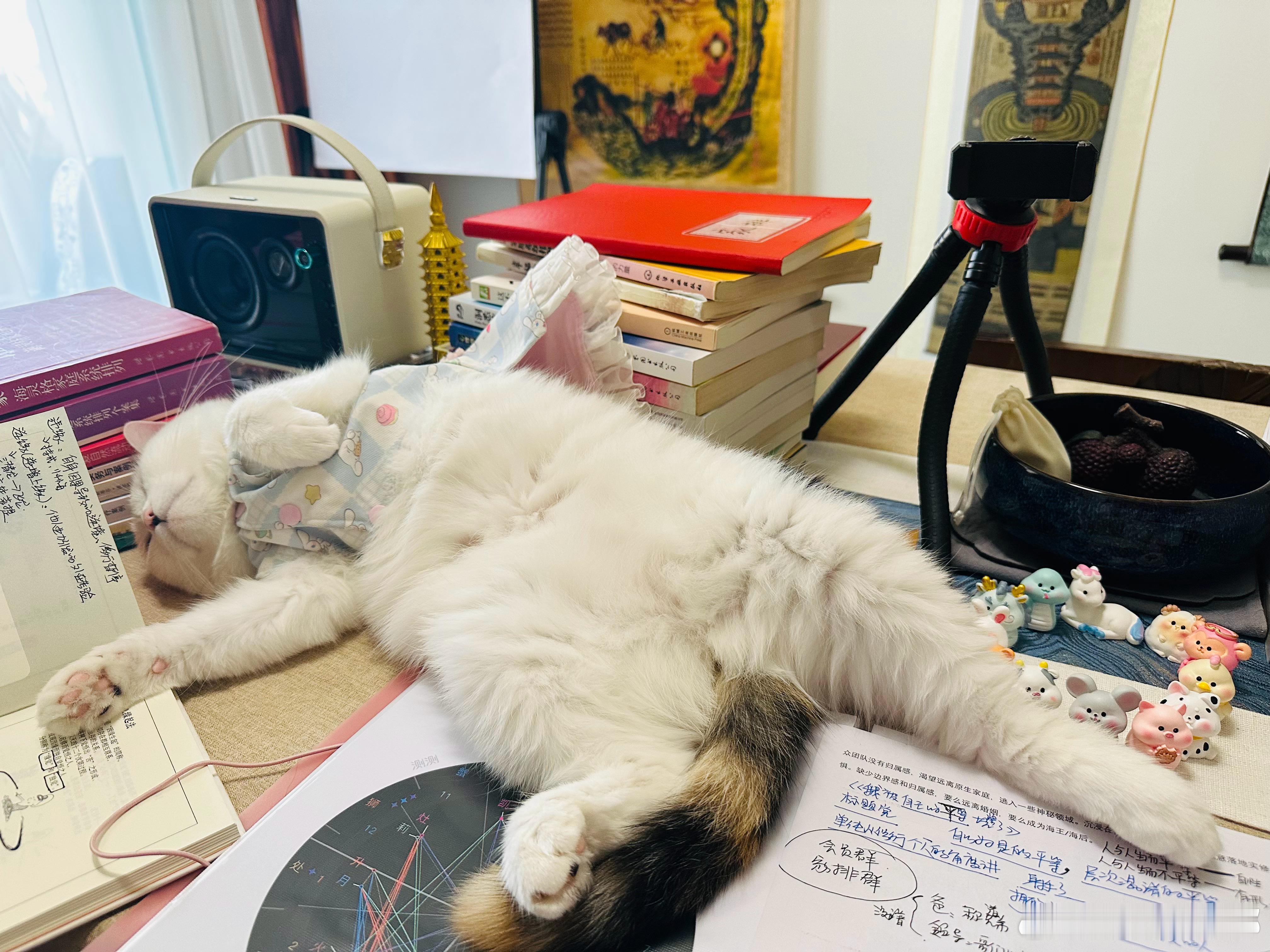 小人畏威不畏德，庸人敬恶不敬善。 ——《资治通鉴》 ​​​史书的价值，通常必须配