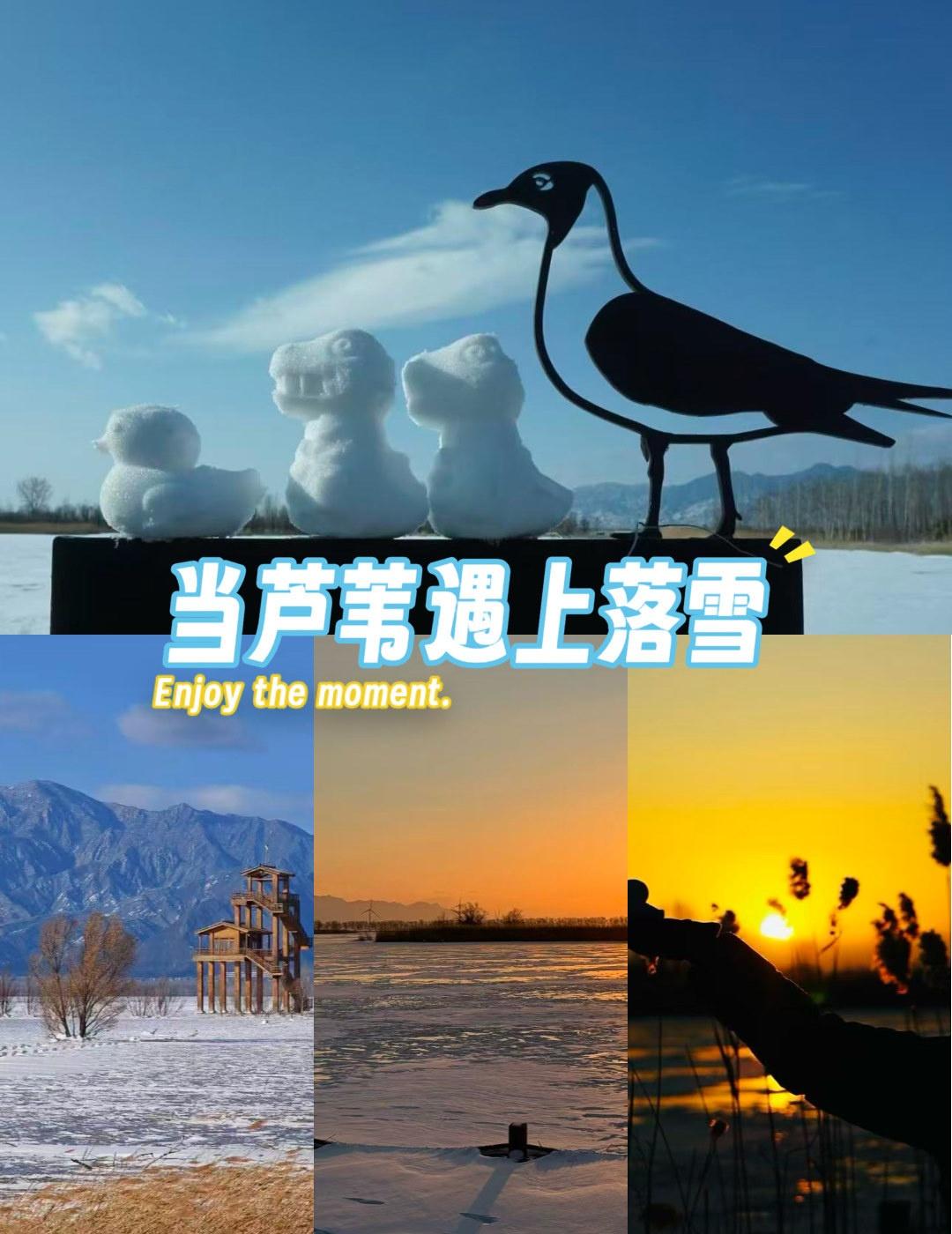 不止芦苇荡！野鸭湖的雪景才是冬日限定[爱慕]
📍北京 野鸭湖国家湿地公园
谁说