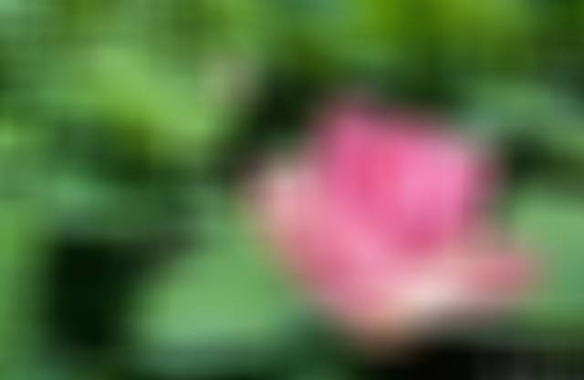 春秋时期，楚庄王刚开始统治朝政时嘛？他三年内不发布政令，也不治理朝政。有大臣劝谏