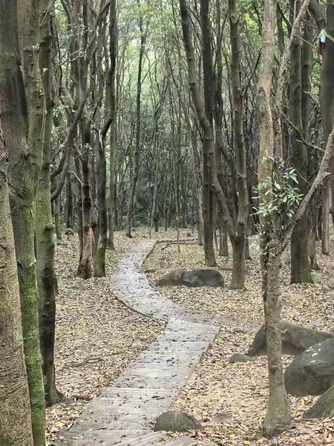 广州有个公园，不要门票，却很少有人敢去。

我朋友上个月一个人去爬，半山腰就给我