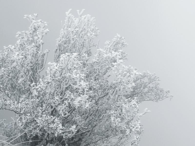 雪洒洛阳白云山，那景象简直绝了！就像河南这次突然的“桃花雪”突袭，多地都飘起鹅毛