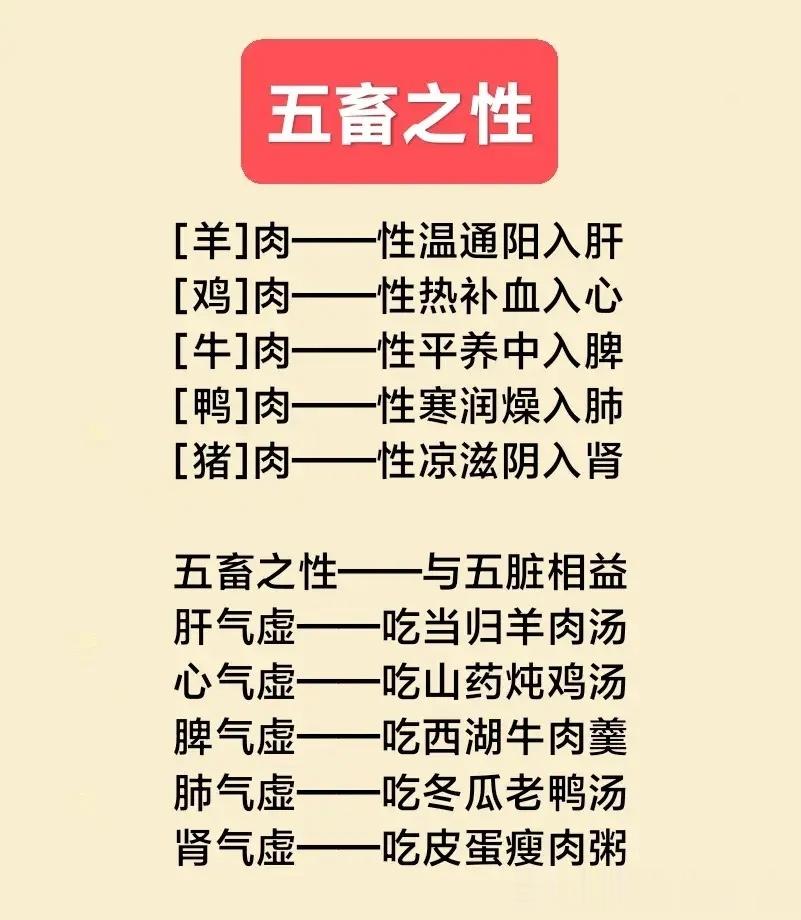 药补不如食补，5脏食疗养生，了解5畜之性不吃亏 ​​​