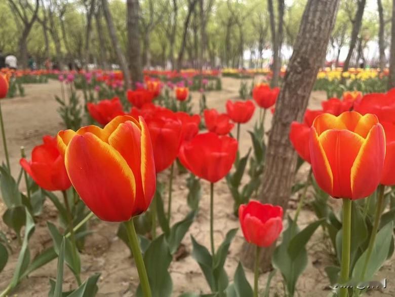 怅望青山入苍茫，
前尘往事总堪伤。
春花秋月随风去，
且把红尘梦里藏。