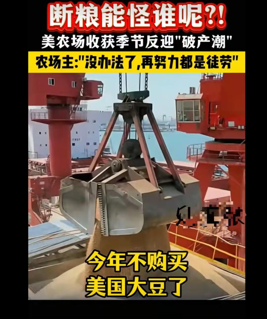 美国豆农慌了！1600 万吨大豆砸手里，中国订单全跑南美了
美国大豆要 “滞销”