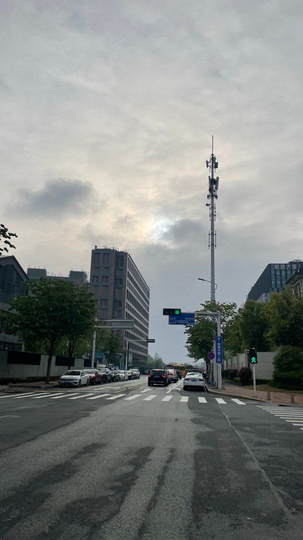 雨后清晨是我喜欢的色调 