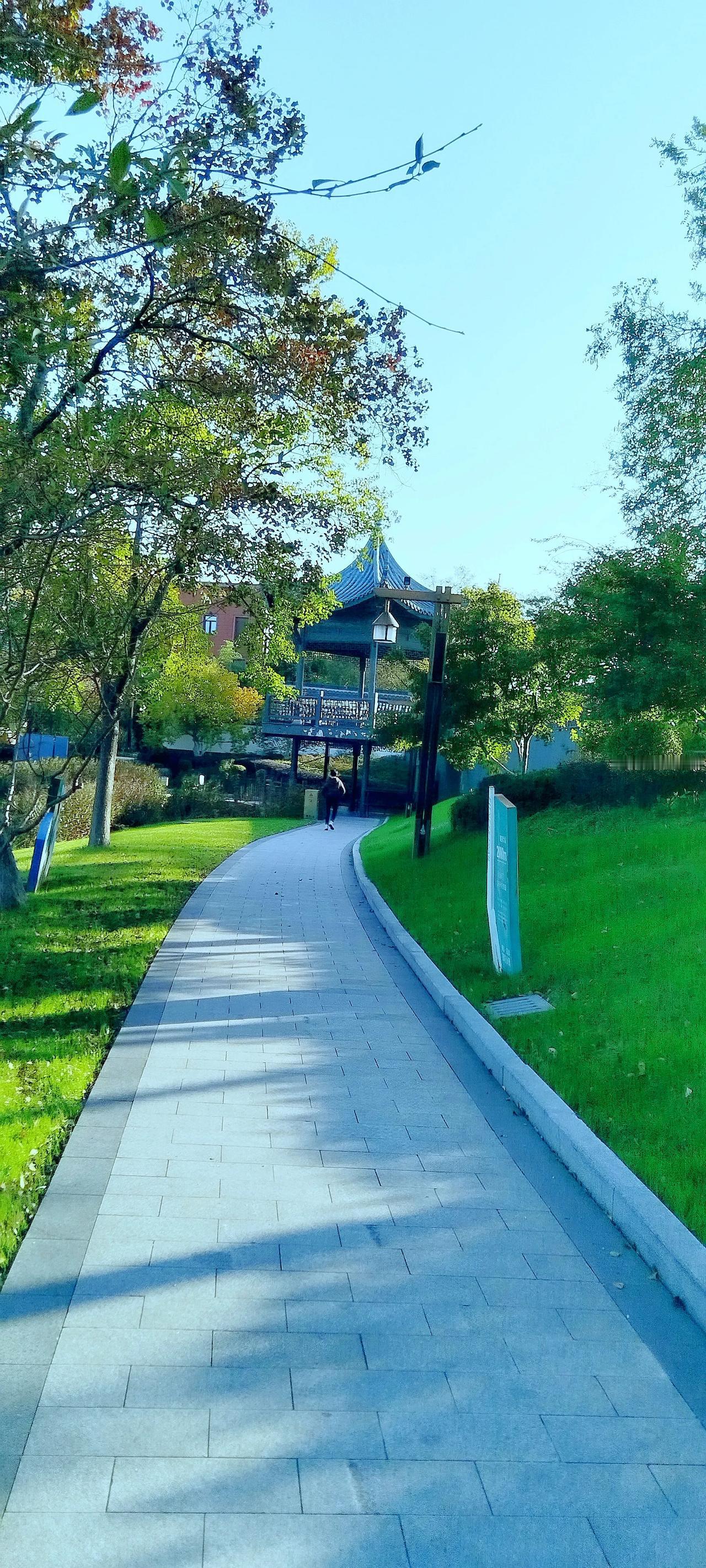 绿荫如海，曲径通幽。谁会想信这眼前的风景，是拍视于冬天小雪过后的11月27日！