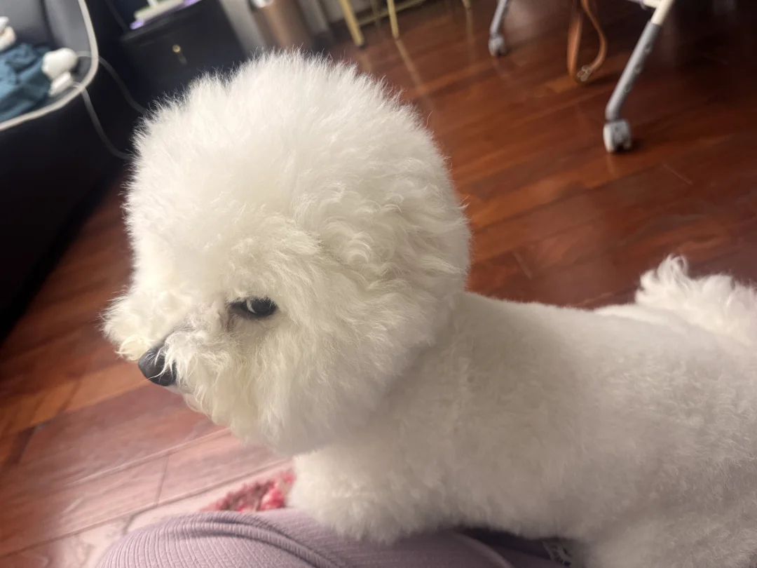 你这眼神、我真害怕！