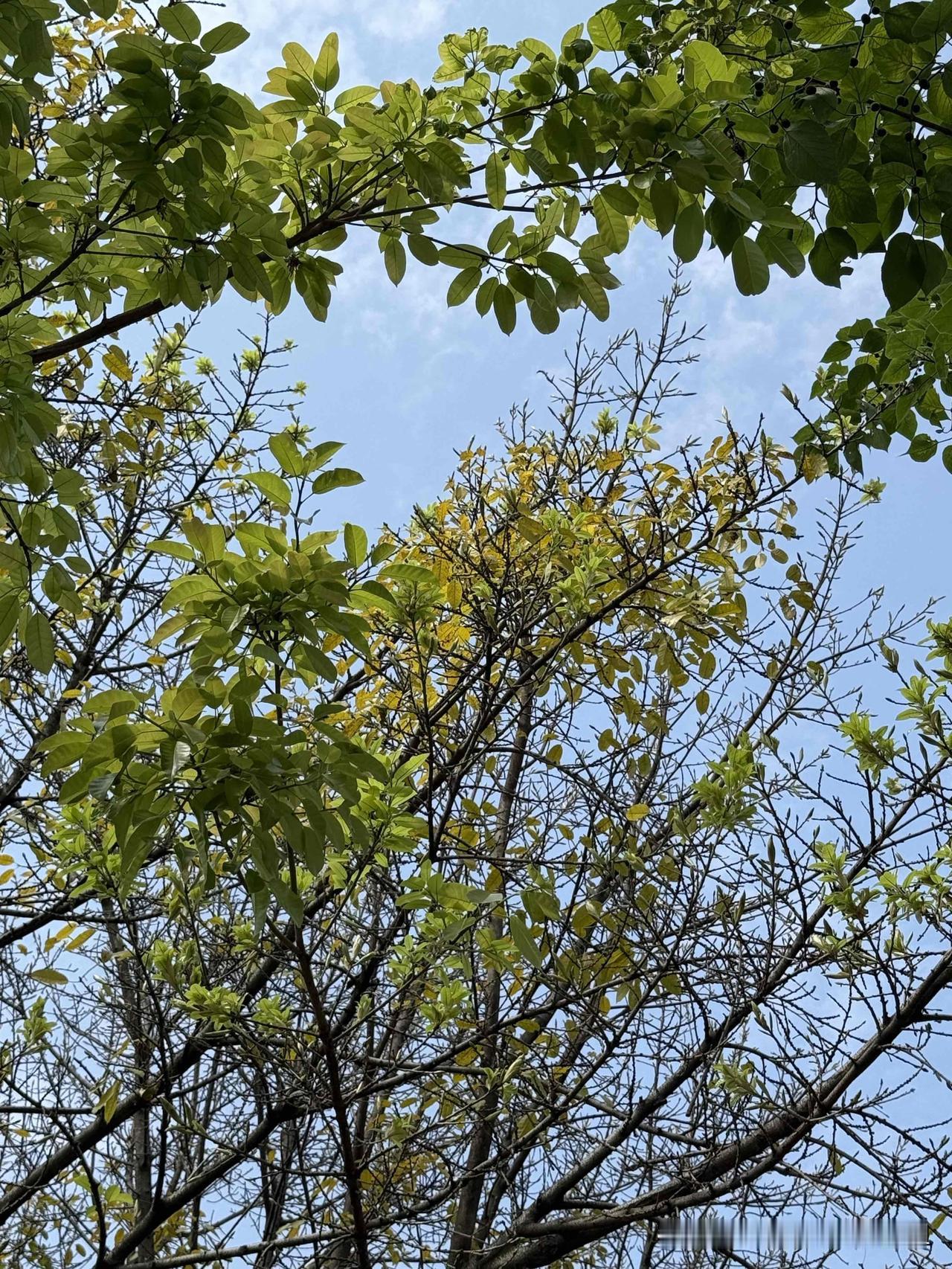 今天被一个三年级小学生的反应震惊到了
这个小男孩，学习不做作业，老师留他他就躲，