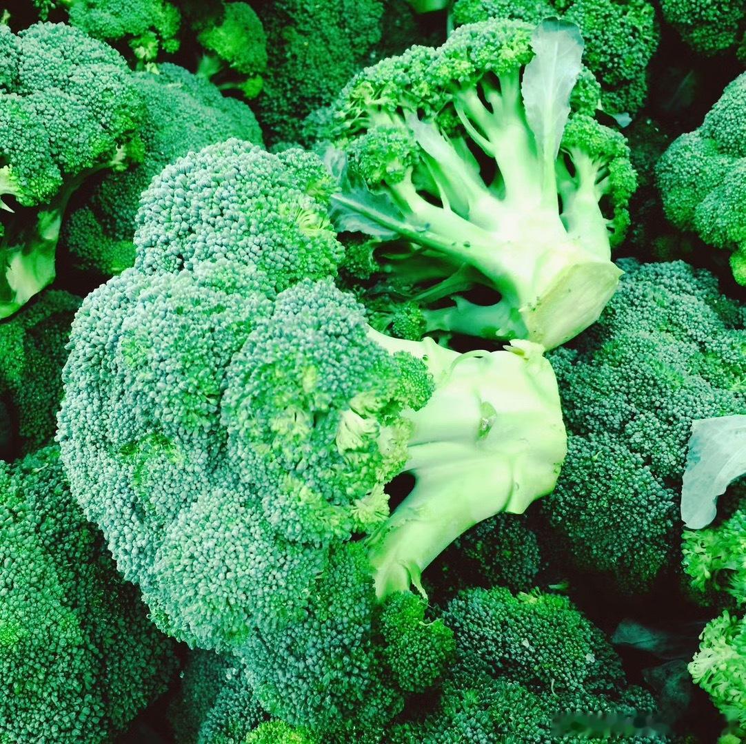 减肥神器—西兰花🥦 也被誉为“蔬菜之王”🥦看了西兰花突出的营养价值和健康益处