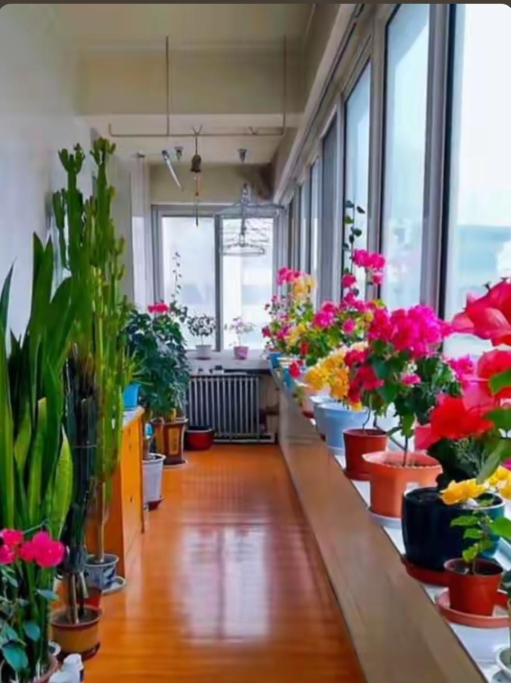 ，一首，情感歌曲分享大家