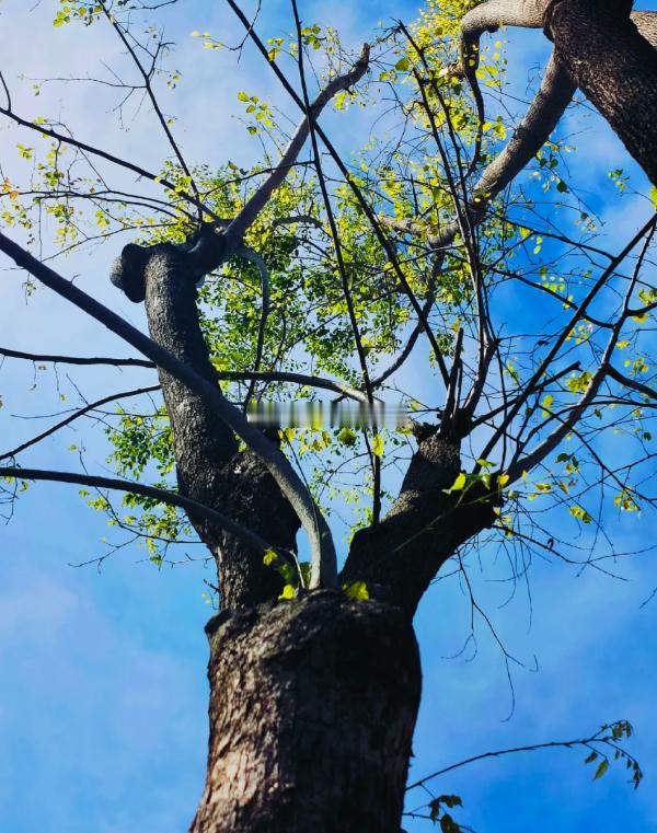 走投无路，换来的一定是大彻大悟，大彻大悟后，便是无所畏惧，而无所畏惧的终极结果，