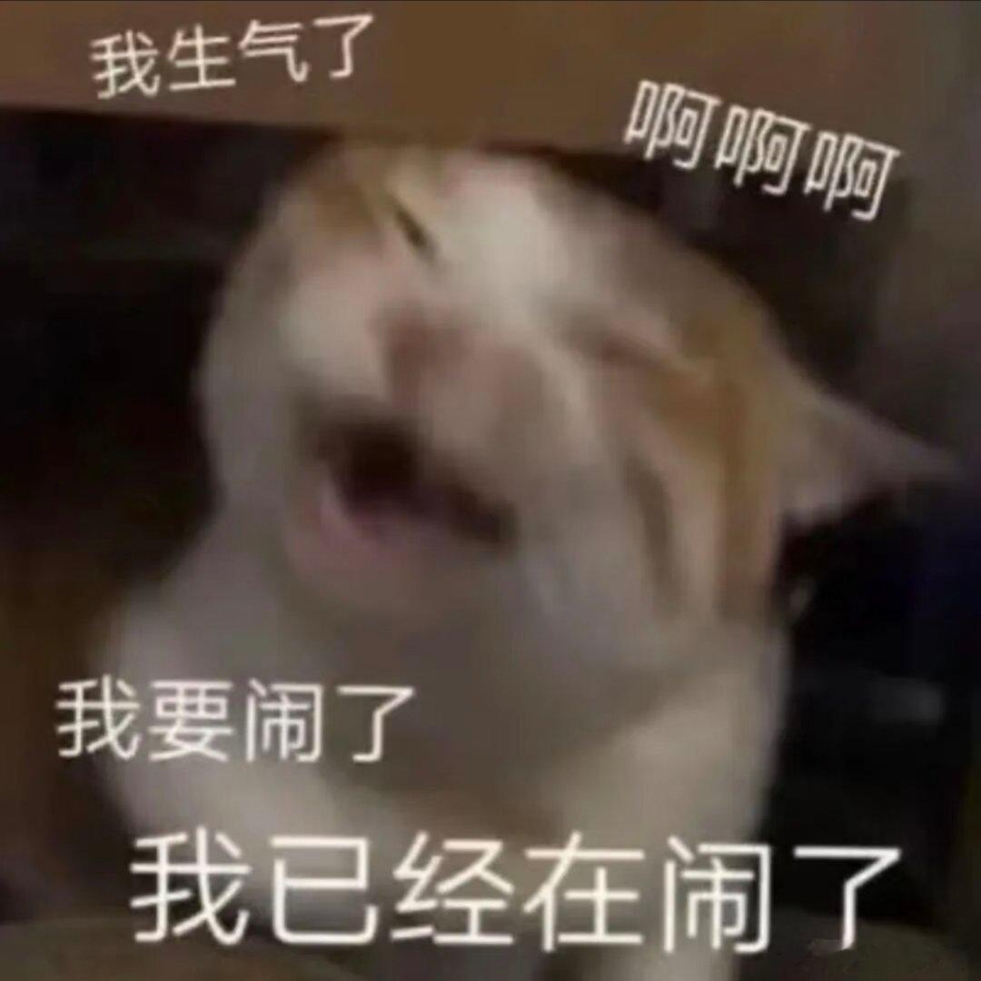 每日表情包分享 