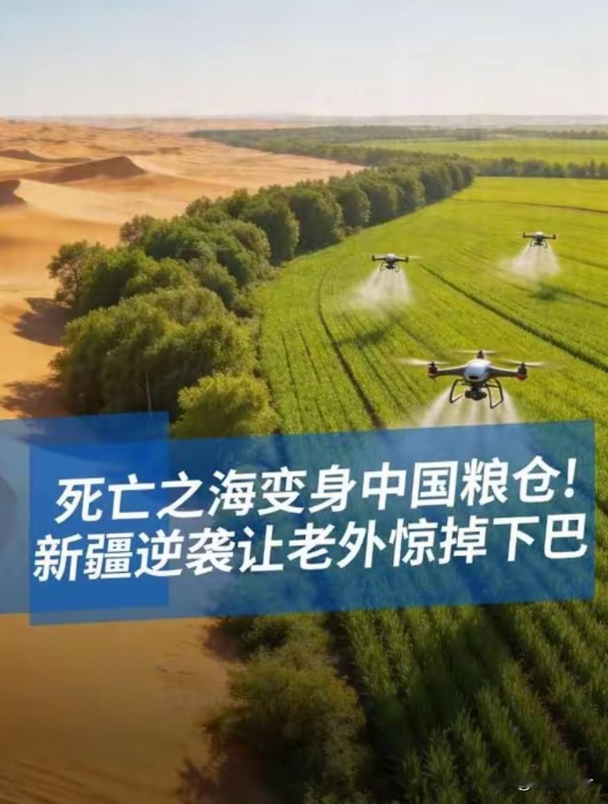 沙漠种麦本为保粮仓，金黄麦浪竟成治沙神器
 
2024至2025年间，我国在新疆