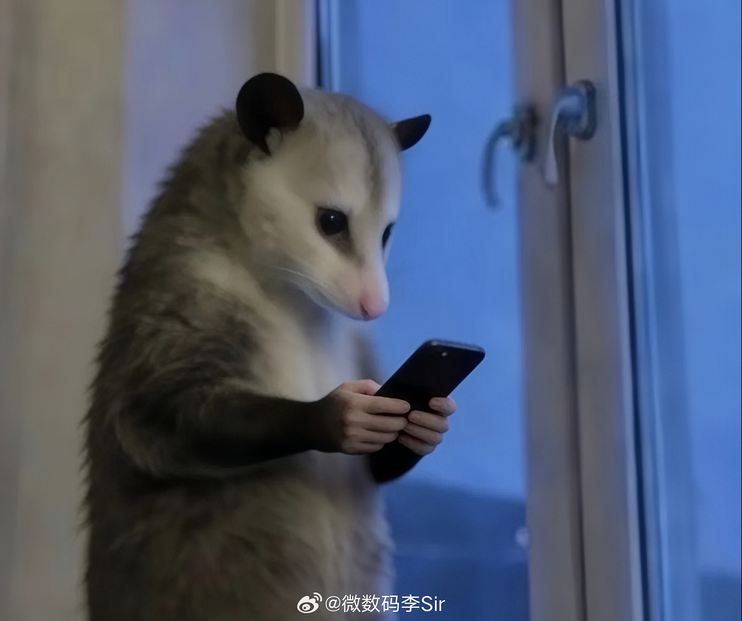 等忙完这一阵 就可以去忙下一阵了