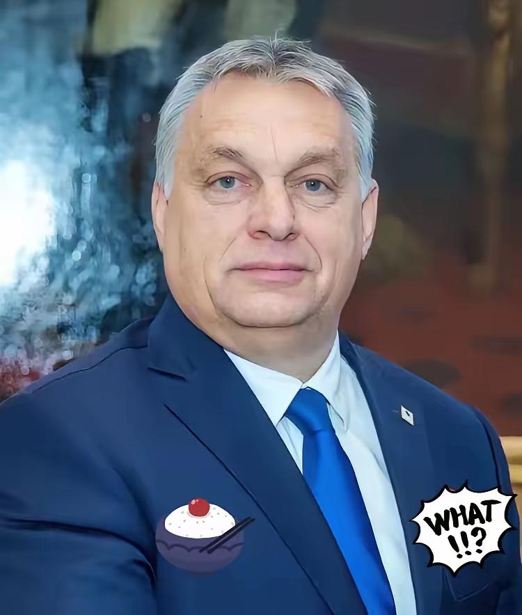 就在刚刚，
匈牙利总理宣布，
2025年11月8日，匈牙利总理欧尔班宣布，他在华