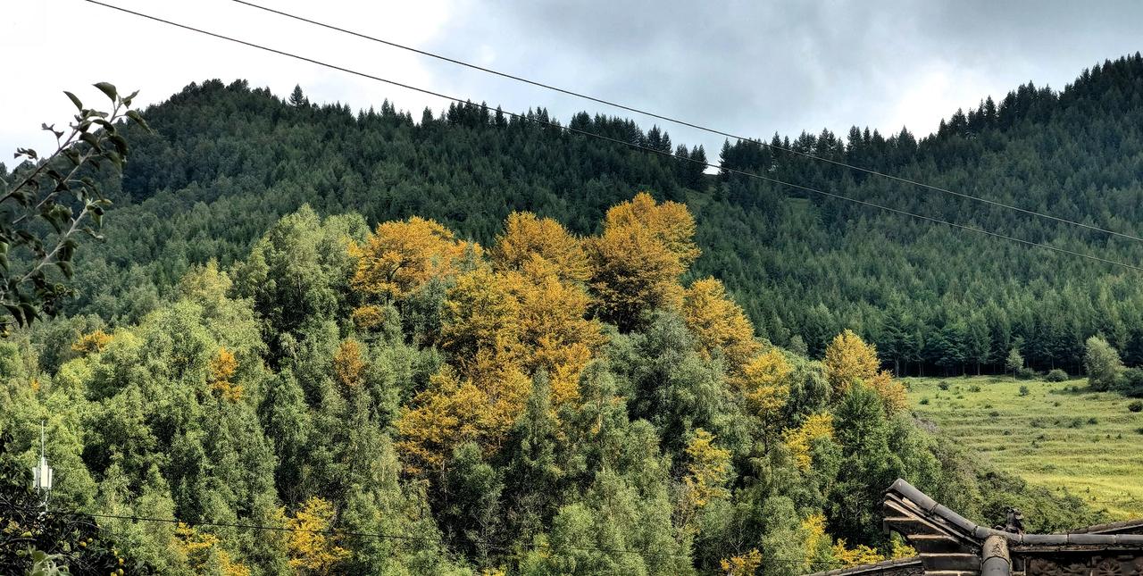 你会选择去甘肃岷县旅游吗我就是地道的岷县人，确实是不错的地方。岷县旅行 甘肃岷县