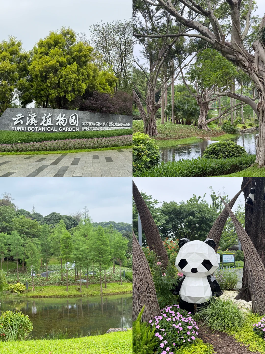 广州云溪植物园🍃