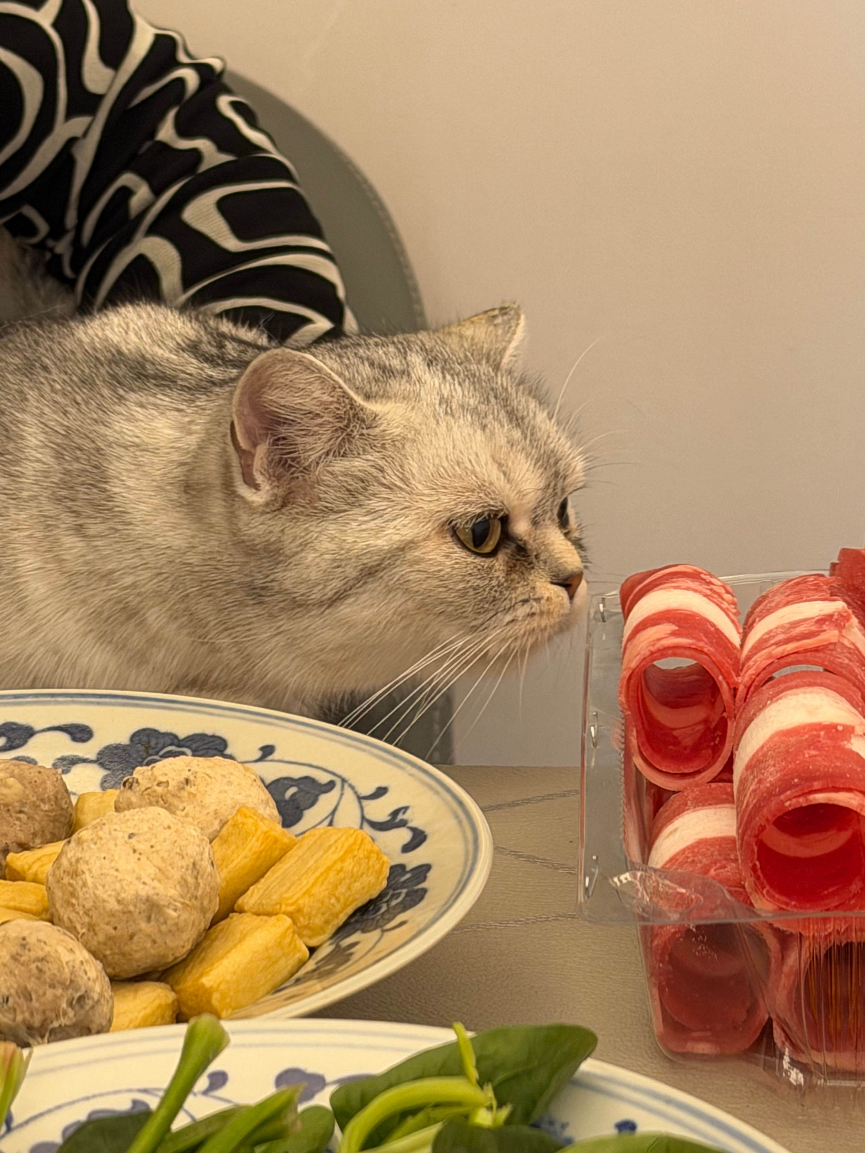 中午在家简单吃个火锅，冰冰都忍不住了 