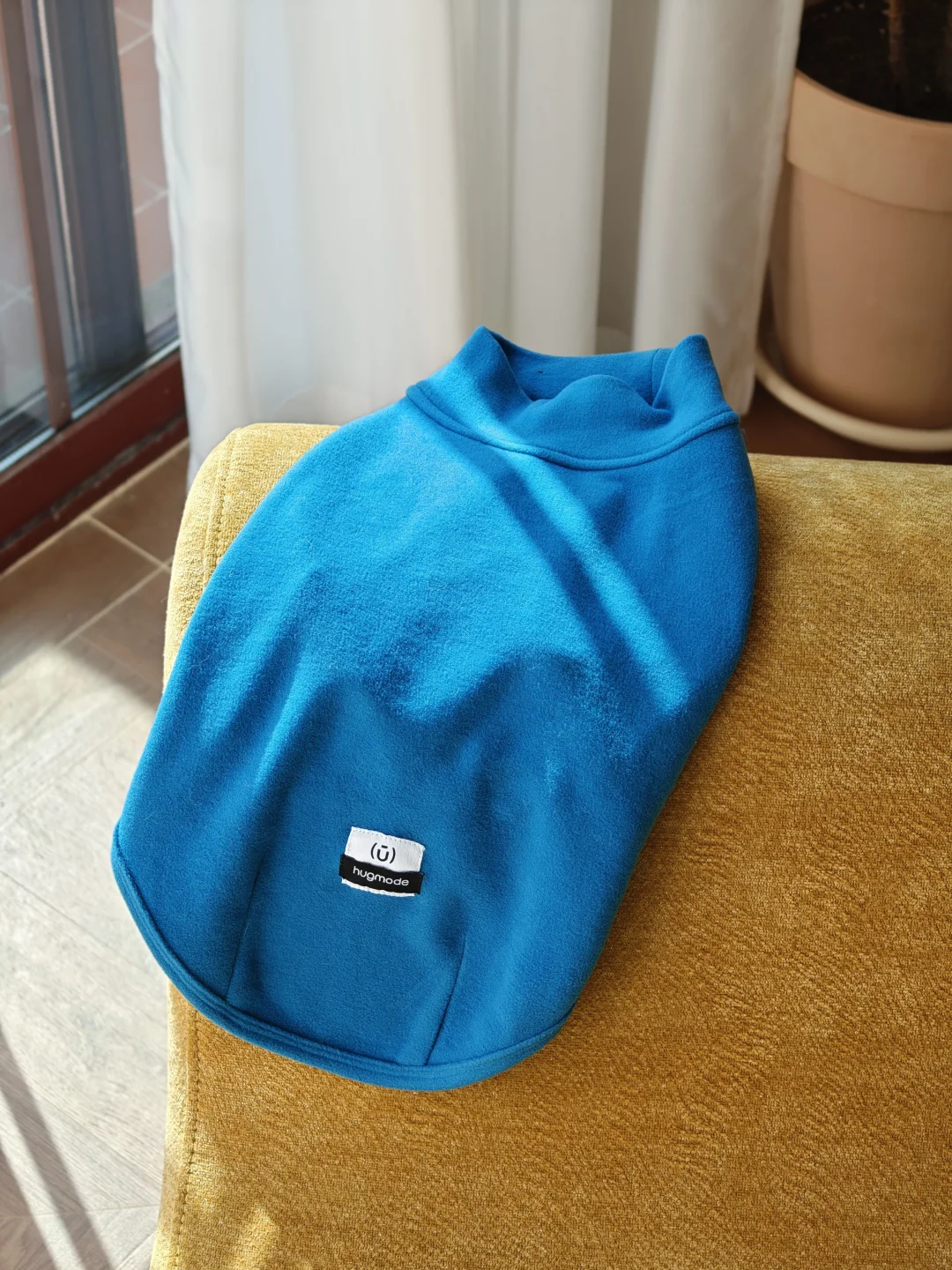 阳光下的一些色彩💙