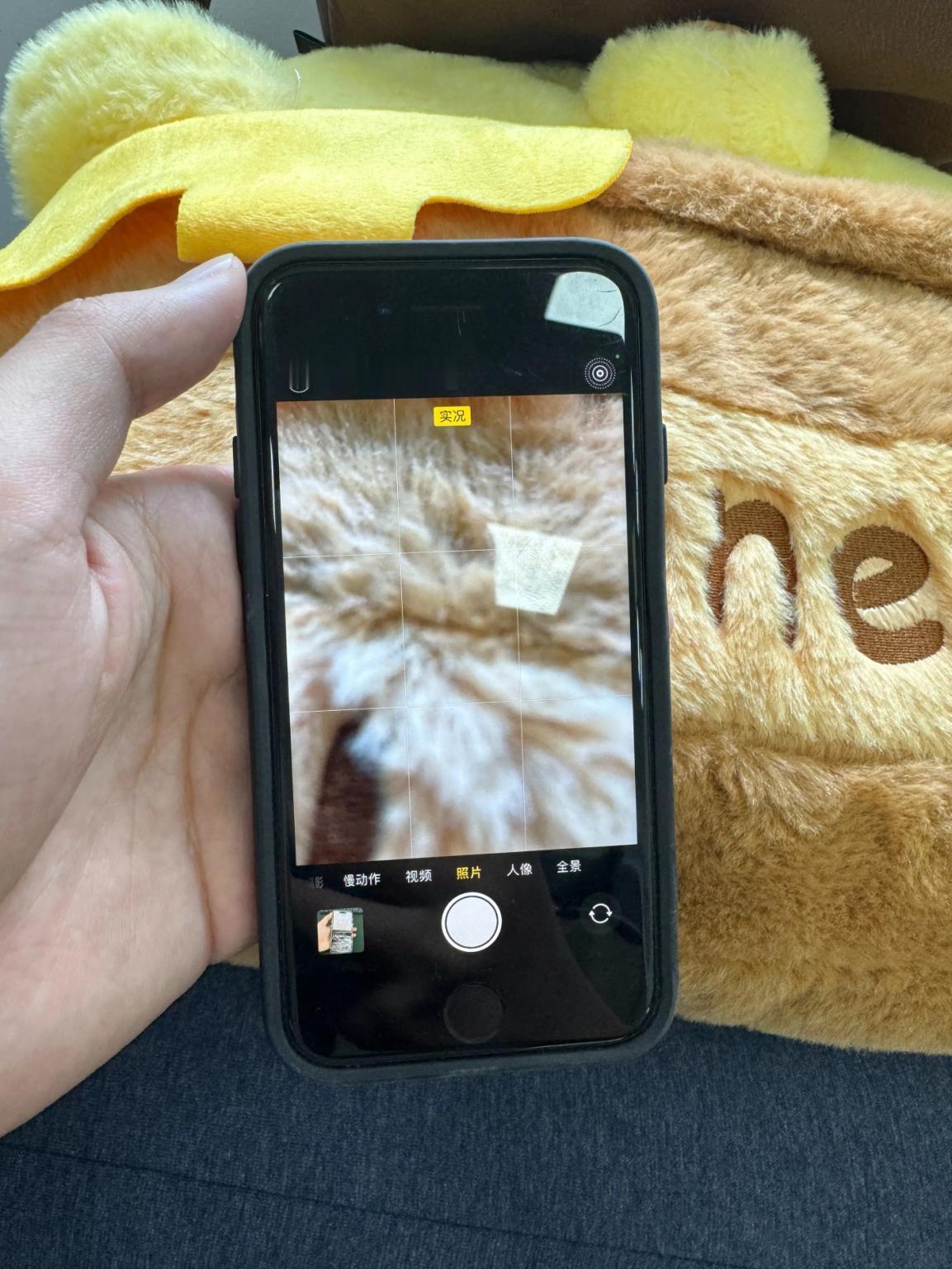 库克：这明显是来捣乱的
网友：Reno12的实况照片功能全面超越iPhone！
