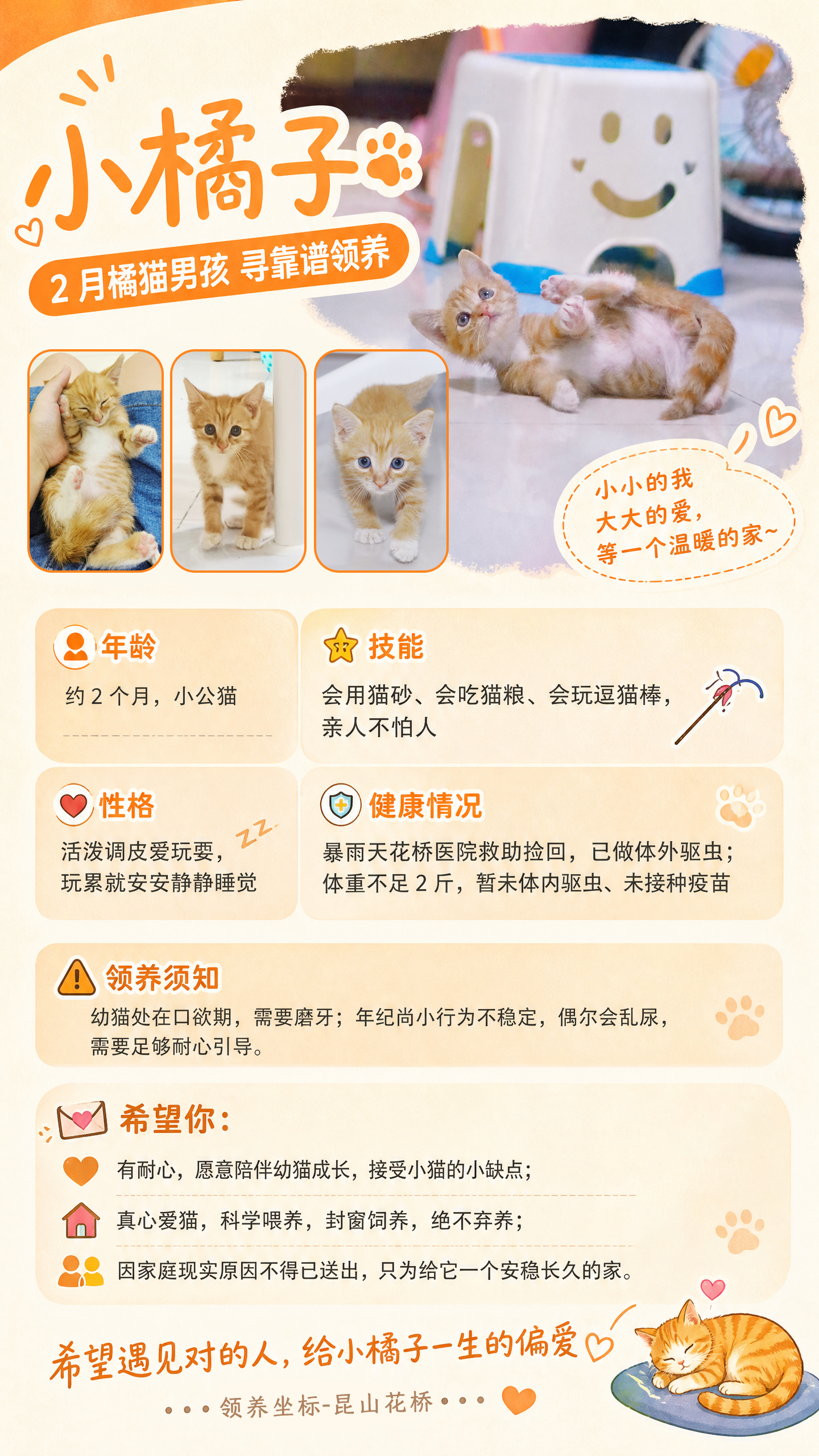 【小猫咪🐈找领养】🍊约2月大的橘猫弟弟｜昆山花桥寻家暴雨天救助回来的小奶橘，