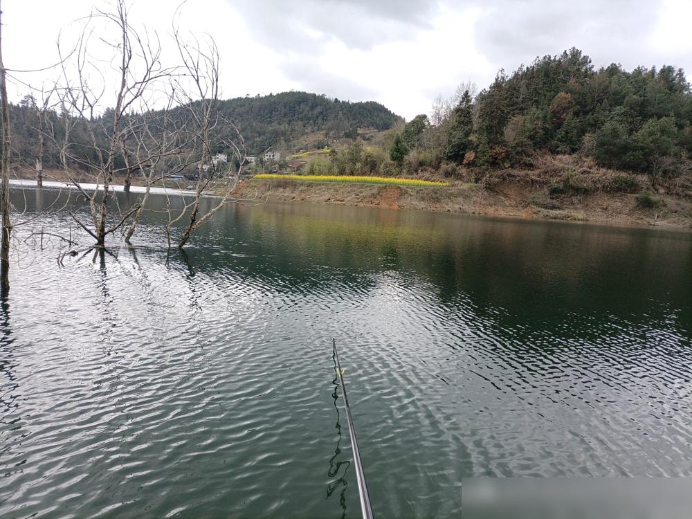 十多位钓友，在8到13℃的阴雨天集体空军。
 
这下把阴天好钓鱼的常识给打破了。