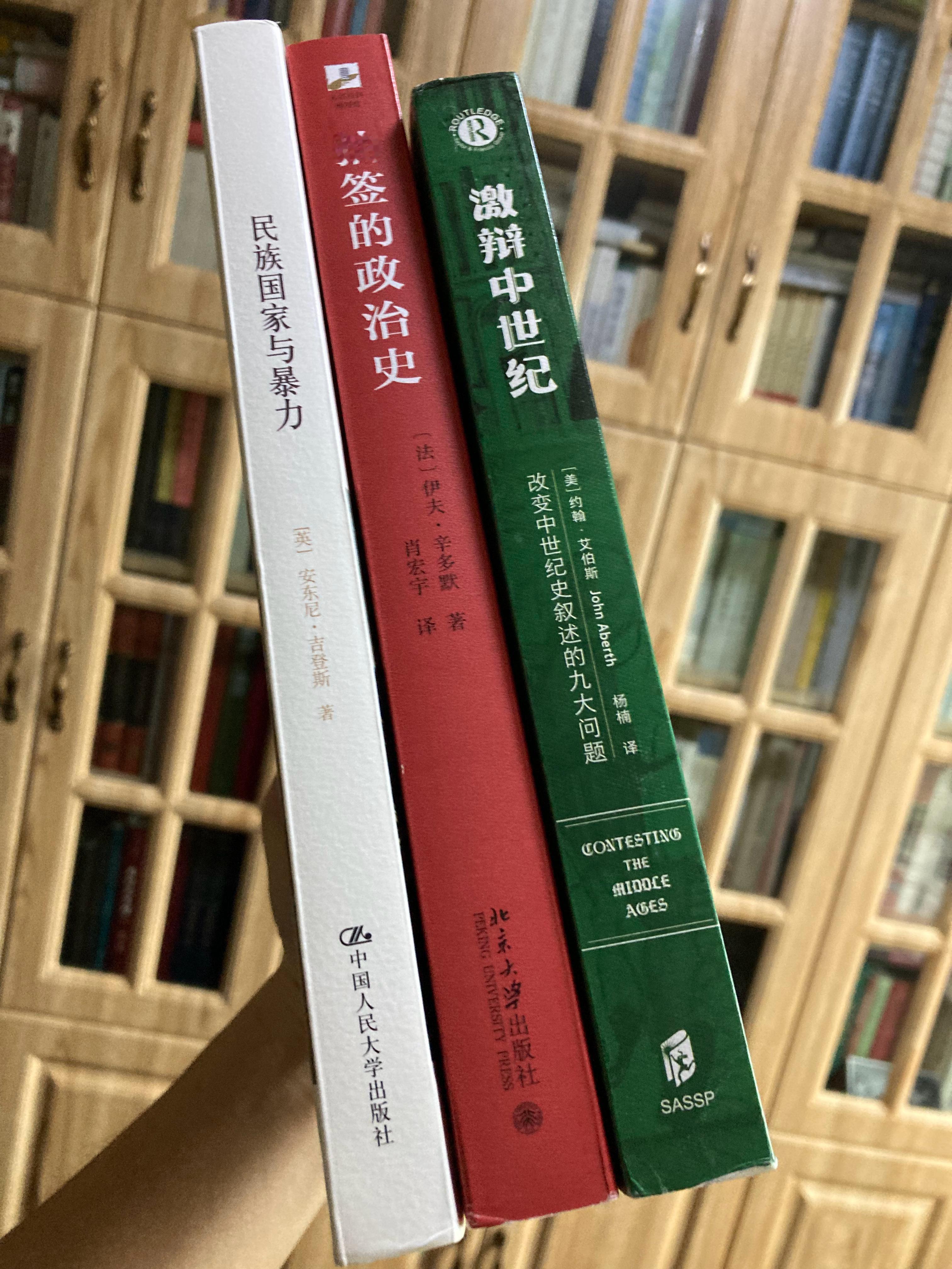 多抓鱼一单 书影多抓鱼 《抽签的政治史》《民族国家与暴力》（新译本）《激辩中世纪