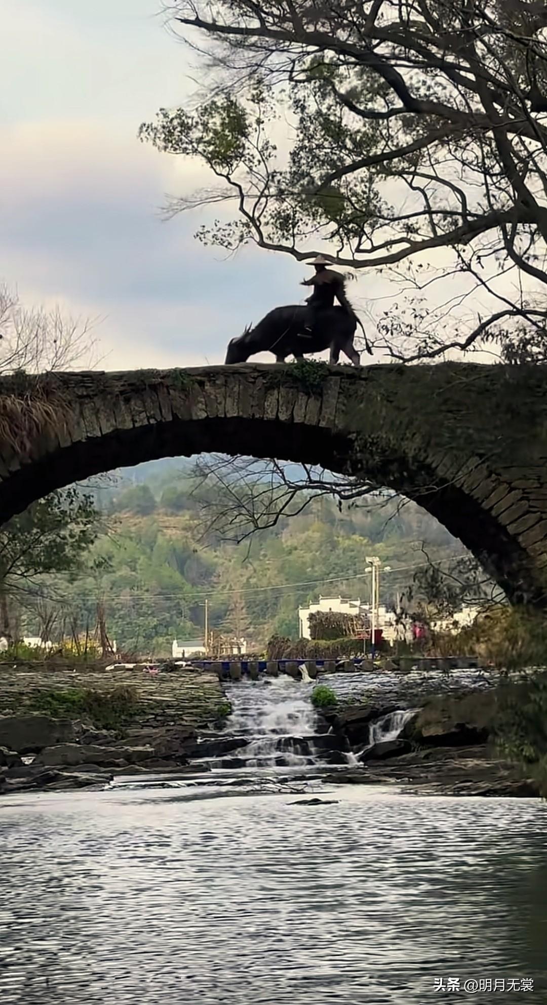 天南地北大拜年