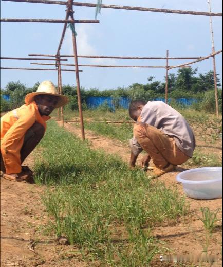 #为什么非洲人那么穷，还那么懒#
我在非洲工作了七年，我个人认为不是因为穷才懒，