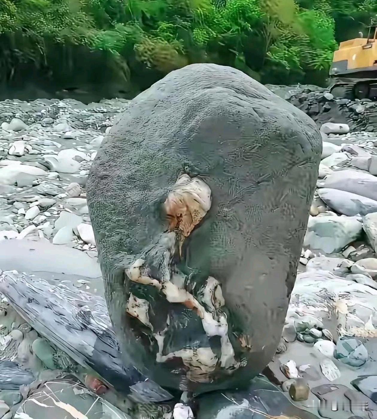 这时候看起来感觉都有人形了