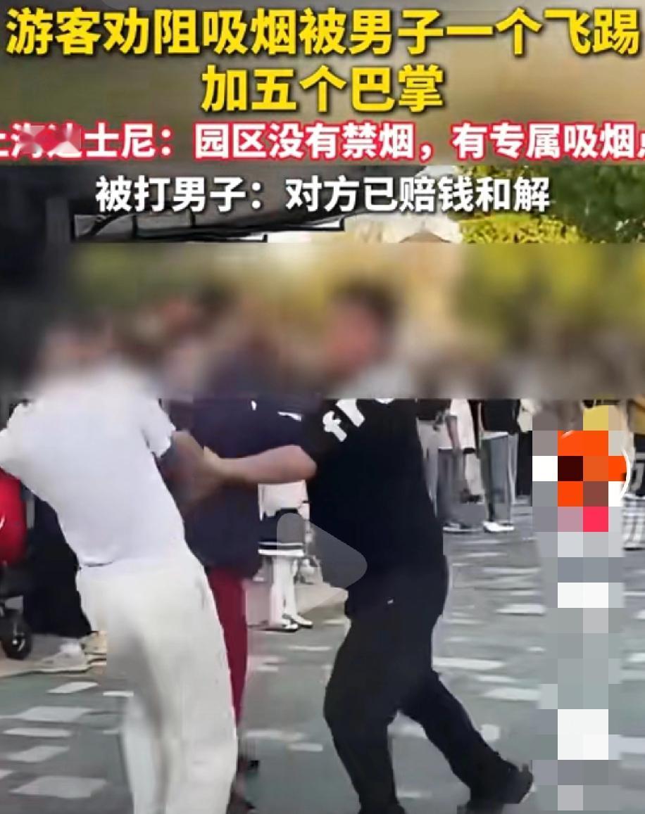 一哥们在上海迪斯尼劝阻别人吸烟，结果被打了。这引起了一个话题，就是在公共场所非禁