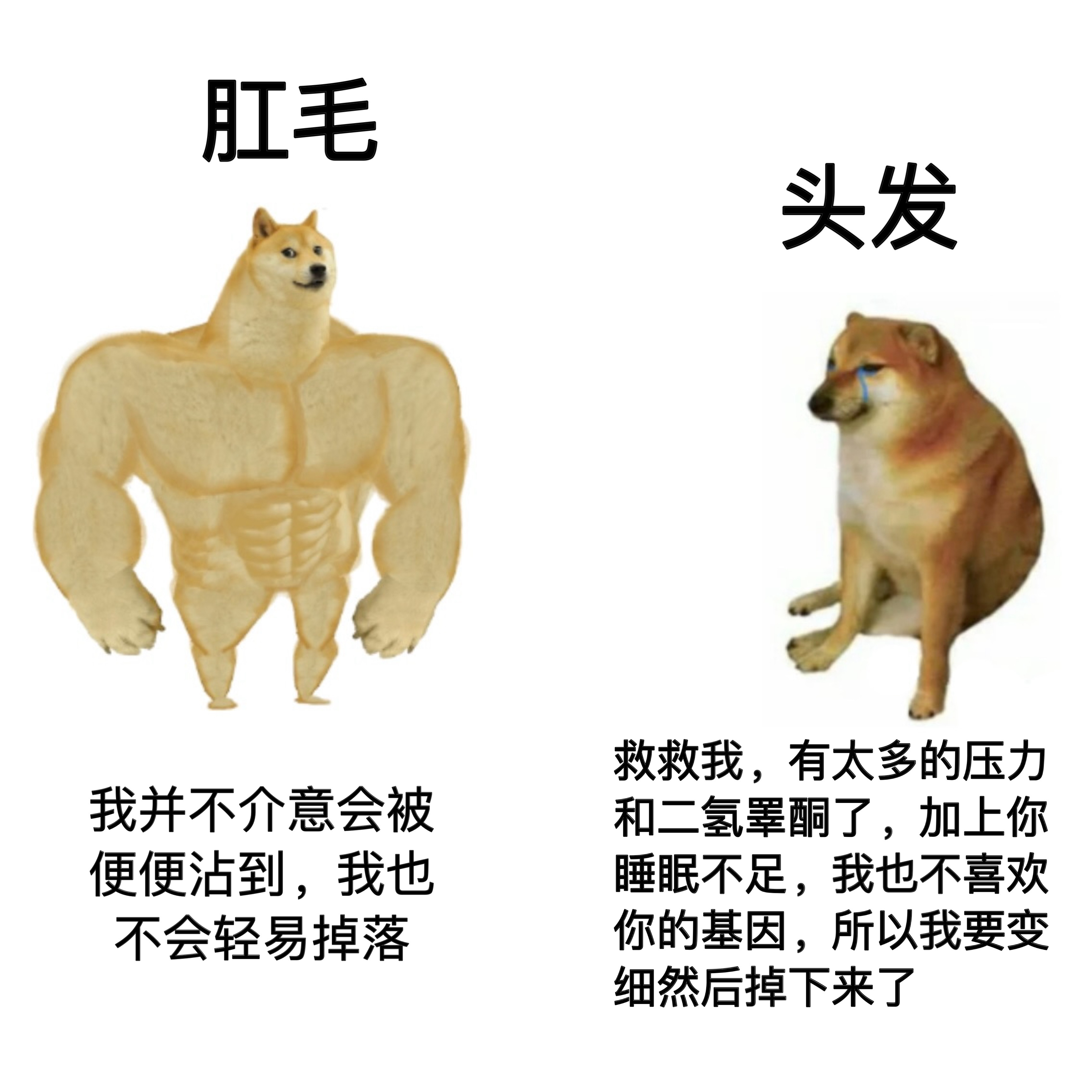 你俩换换呗#meme# ​​​