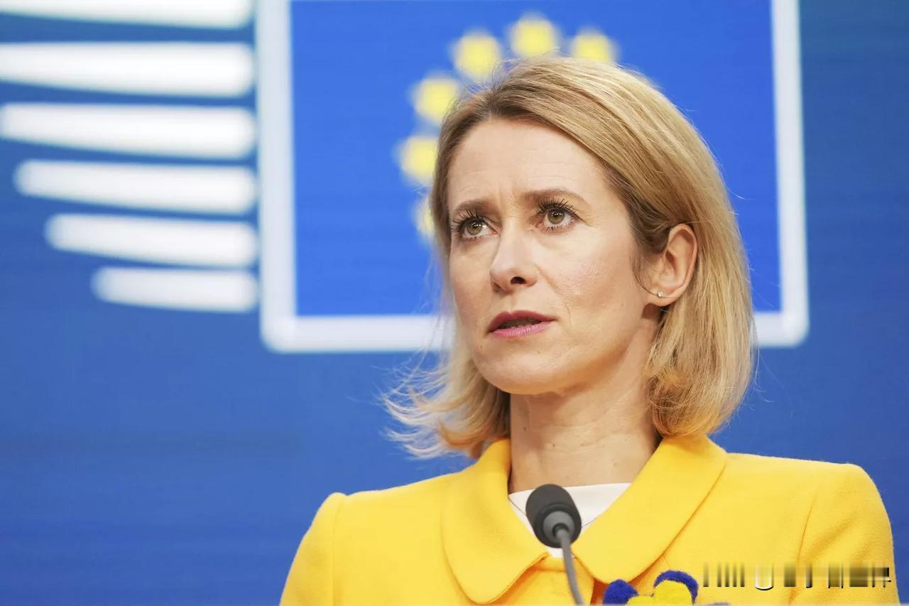 【欧盟外交负责人：乌克兰优先考虑恢复自身经济基础设施】
布鲁塞尔时间2026年2