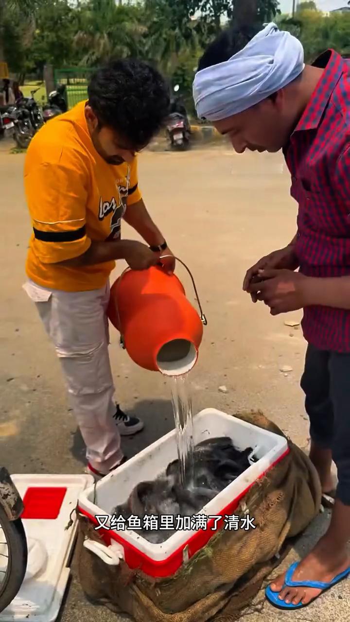 男人买下大鱼把他们放生。
男人发现卖鱼的商贩把大鱼撒了一地，于是他便快速跑了过去