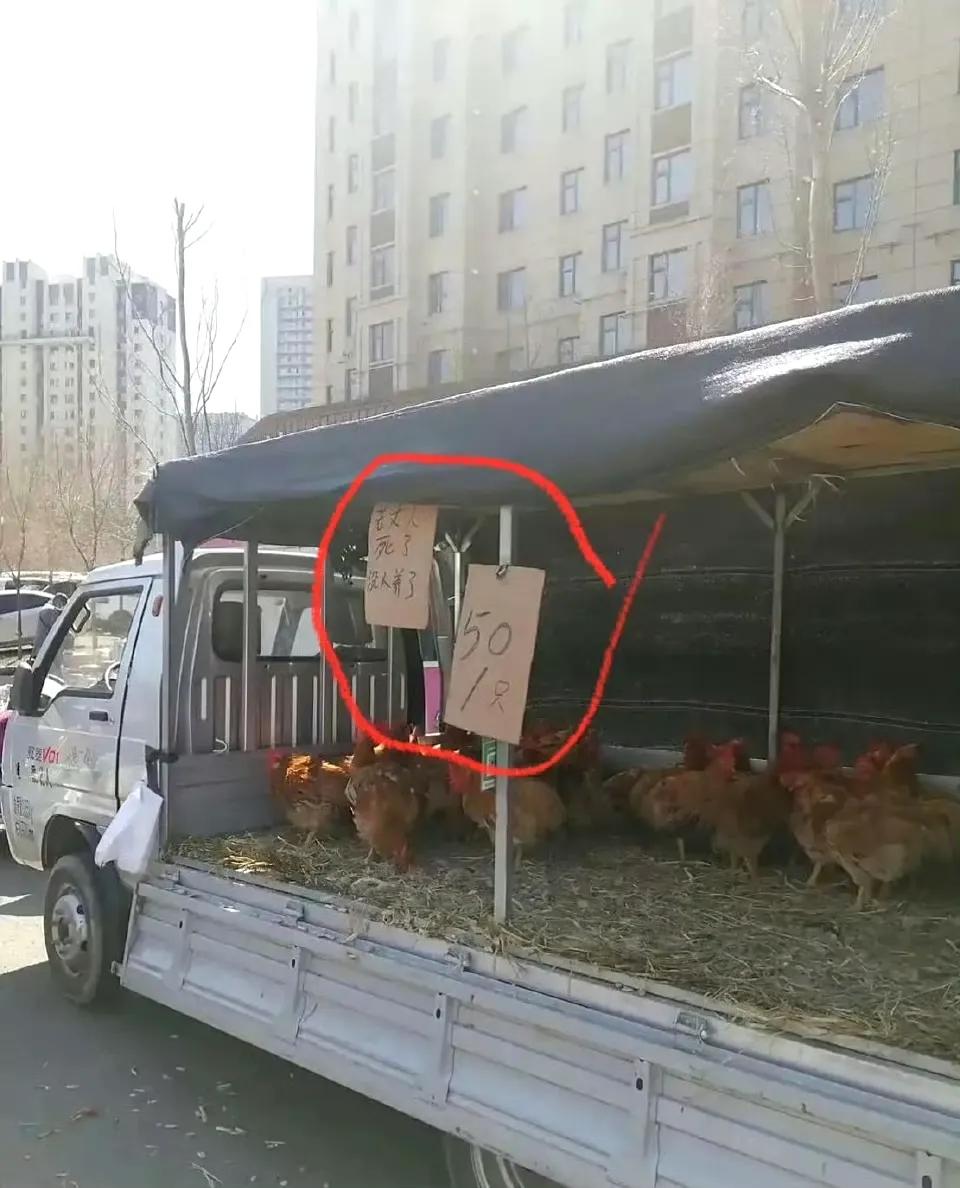 这个，当年究竟要了你多少彩礼啊，说话这么狠？