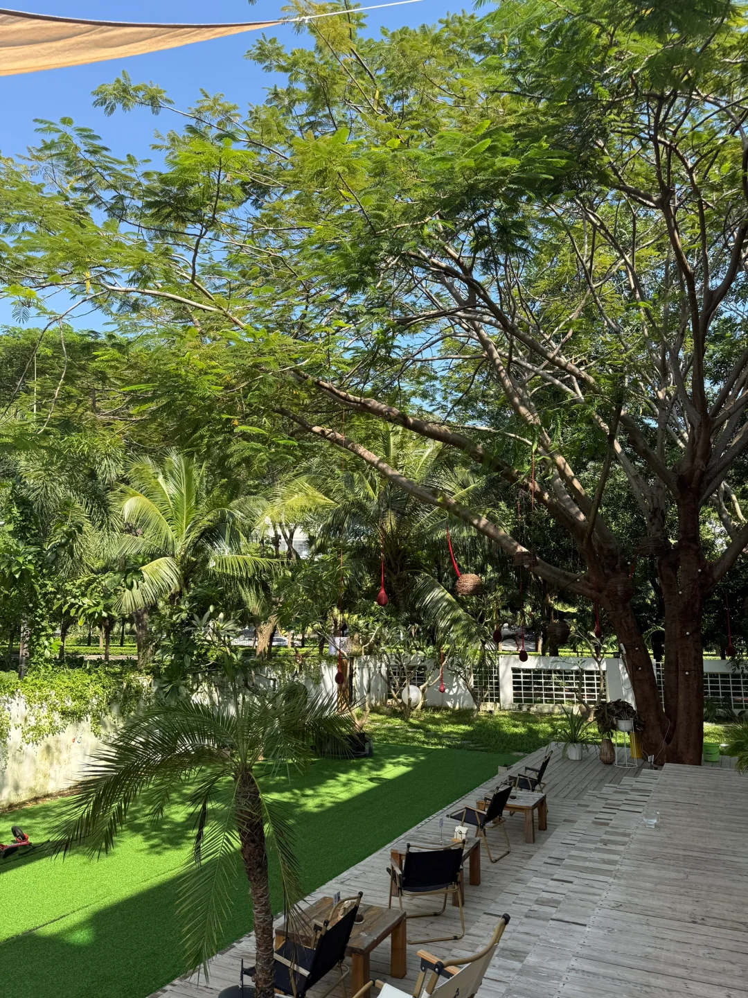 若您太虚弱无法归位哑铃 请向前台女孩求助