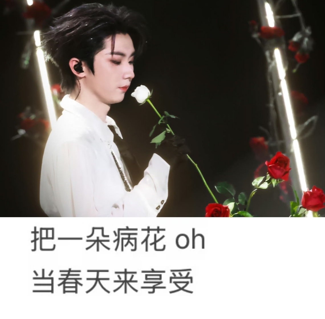卧槽如果说白玫瑰是病花的话那闻着不就是一种享受吗。。。马嘉祺唯我论者的独白