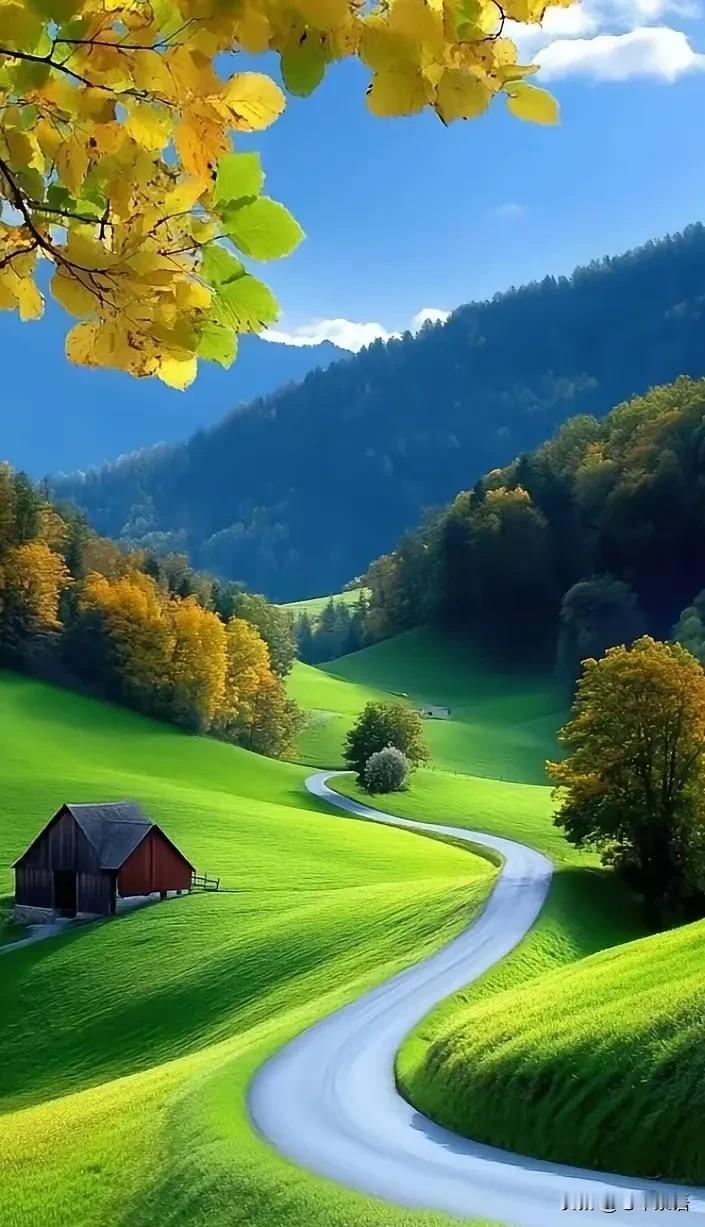 高情商的父母，
不会和子女说这三句话。

1：“我存了养老钱，不指望你。”
2：