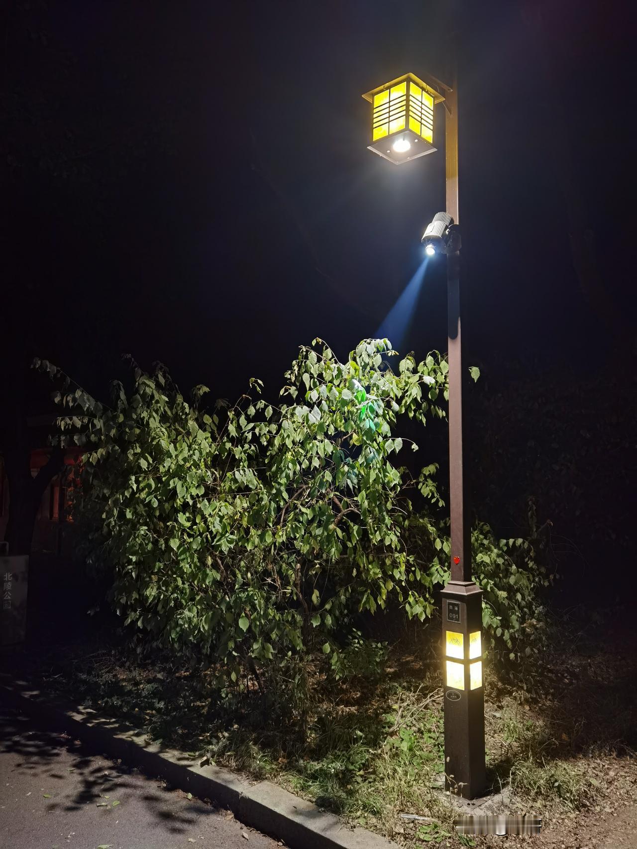 北陵公园今天早上给路灯了，不那么黑了，往天早晨都走在黑漆漆的公园里，深一脚浅一脚