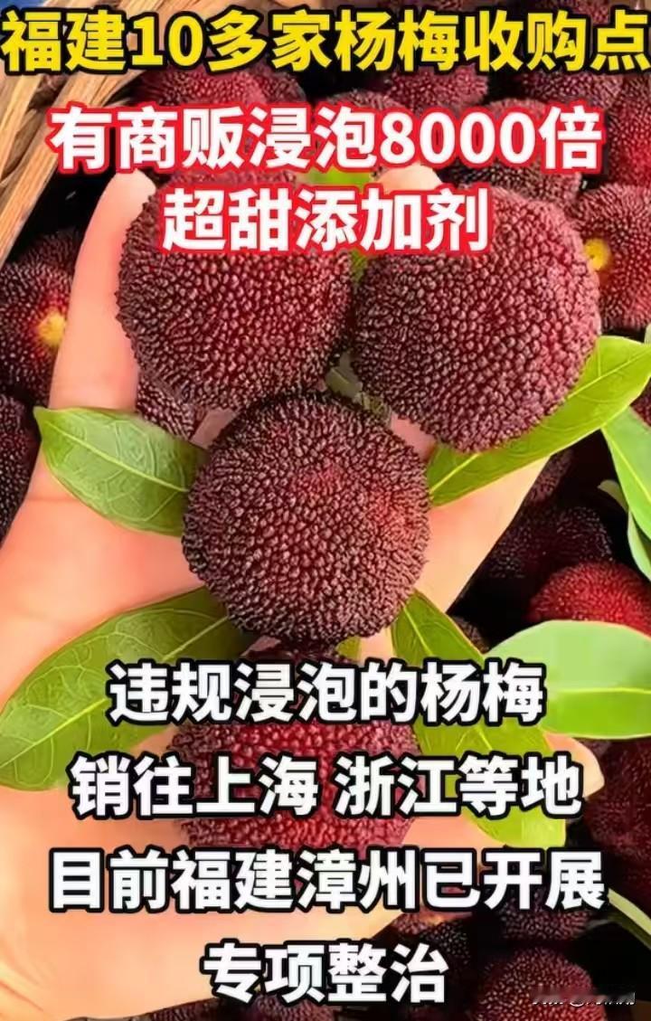 吃果讲究顺时节，反常早熟水果谨慎挑选
 日常吃水果优先选择本地应季鲜果，顺应自然