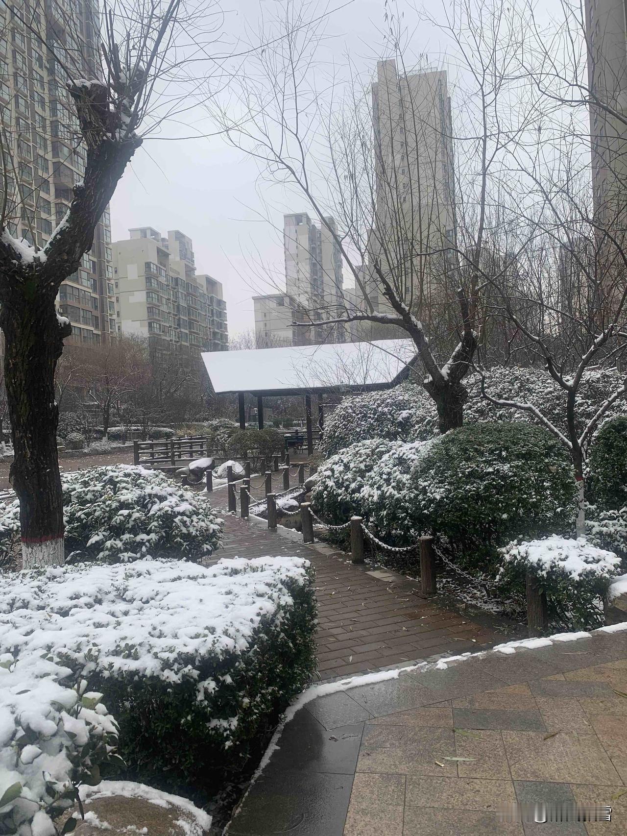 全球股市休市，25年完美收官，26年开局迎来希望！
        2025年最