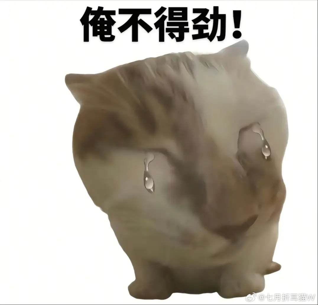 衣服或涨价15%别涨了，别涨了，都要买不起了，手机涨，电脑涨，油价涨，冲锋衣涨，