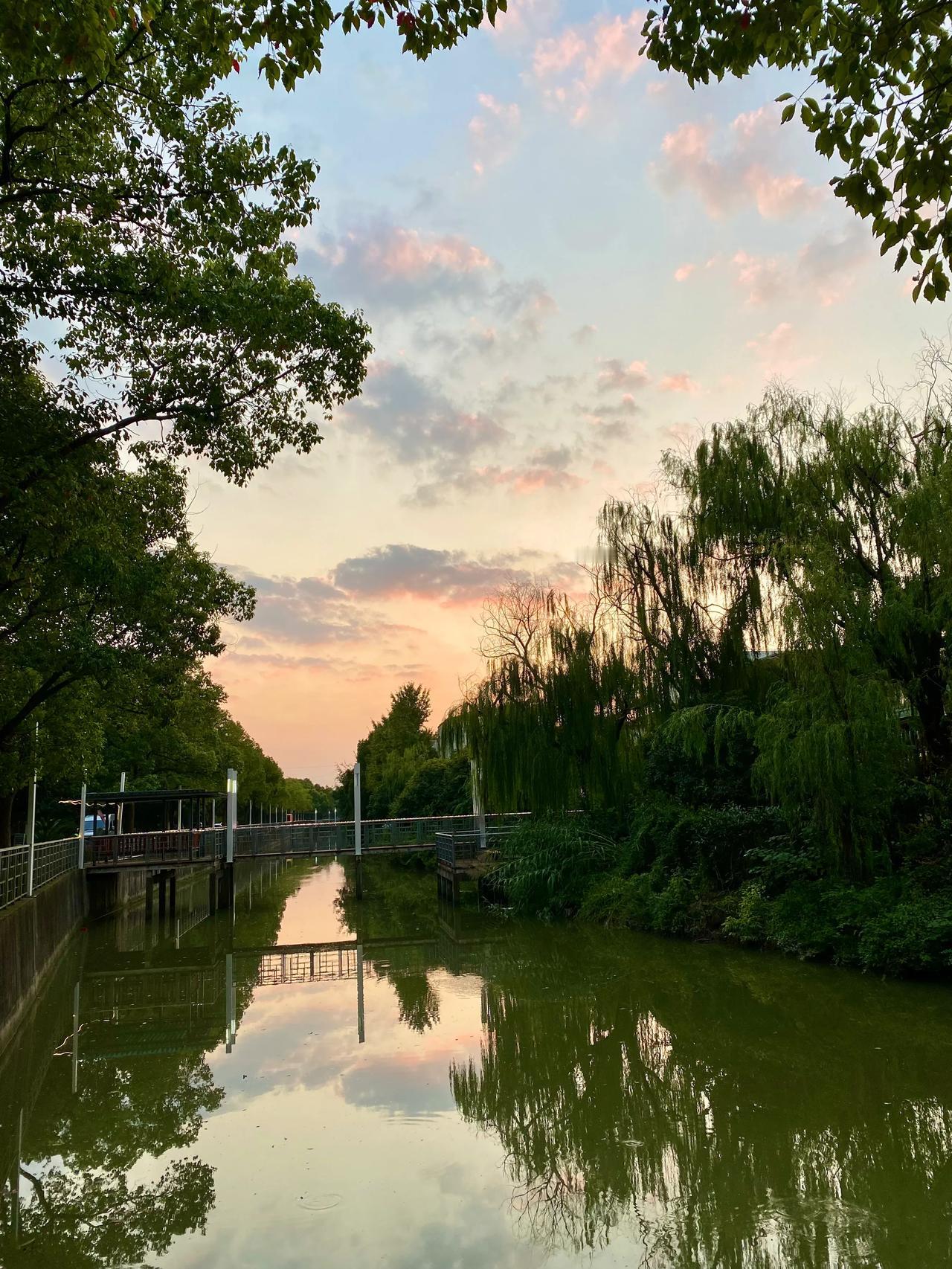 #一句话分享今日感悟#
美景无处不在
小区黄昏
#日常生活# #快乐#