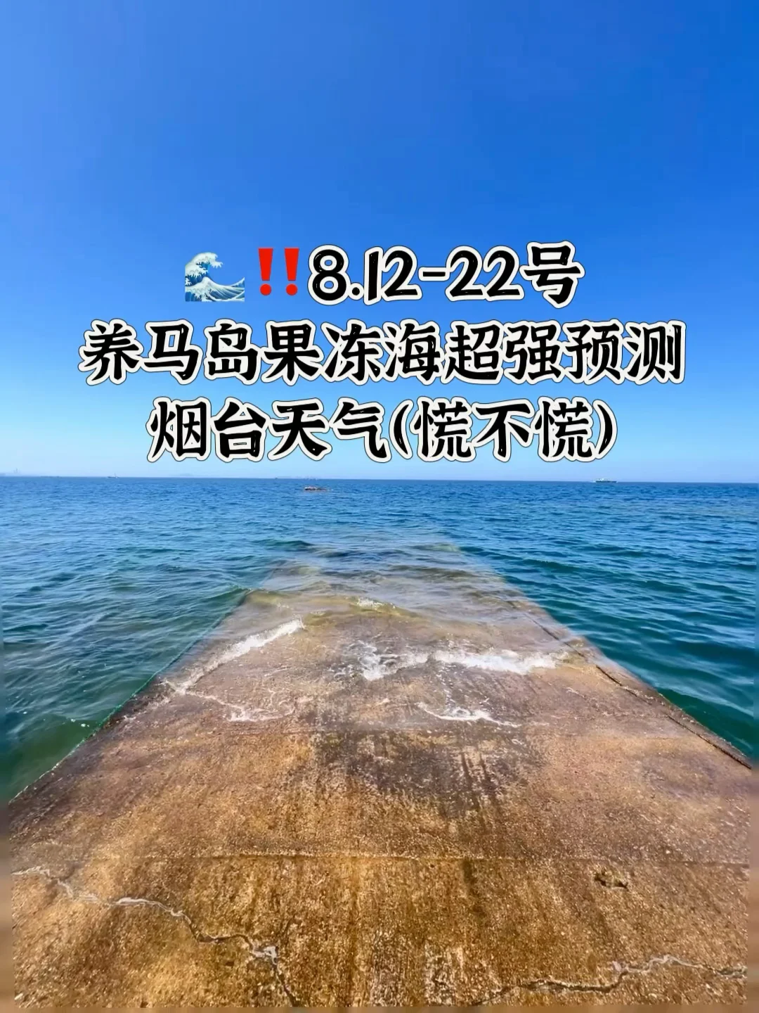 📍8.12-22号烟台养马岛果冻海超强预测