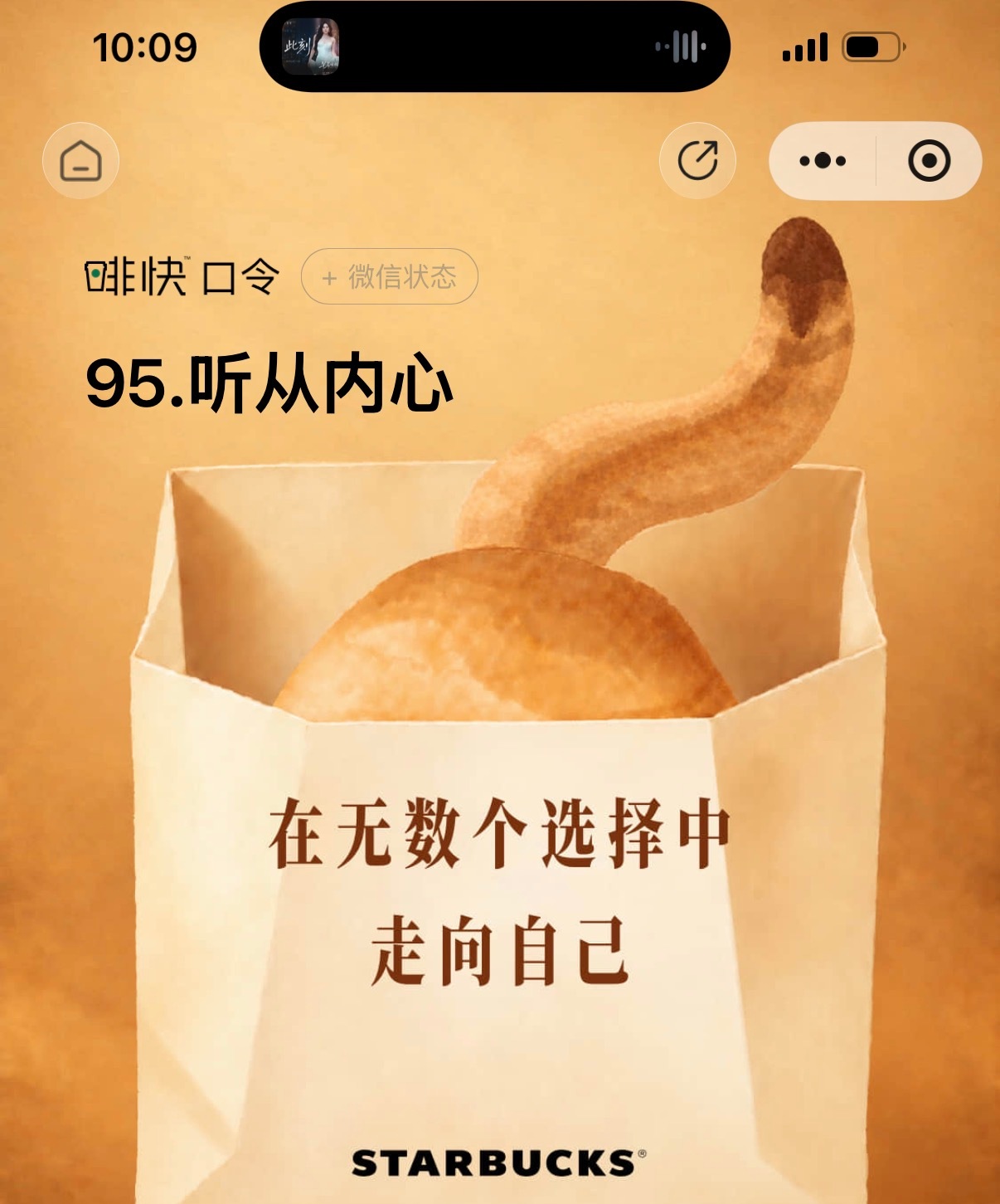 条条大路通罗马可是我不想去罗马 ​​​