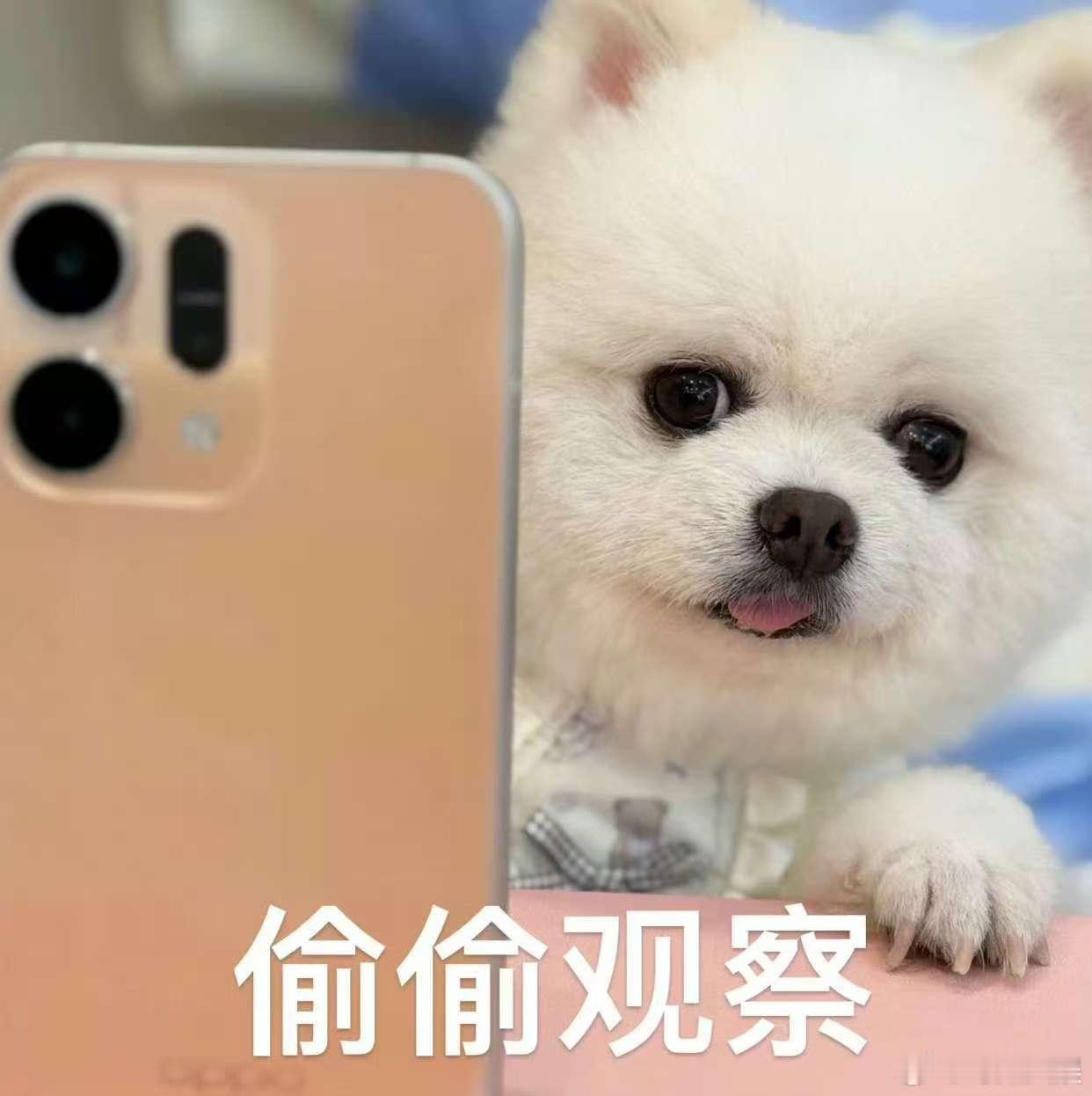 孟子义尚公主直播孟子义惊喜直播孟子义惊喜直播，哇哇哇，[送花花][送花花][送花