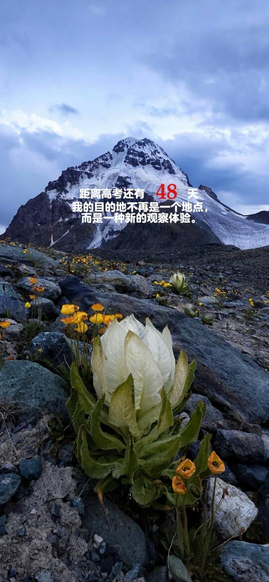 2025高考倒计时，每日更新。