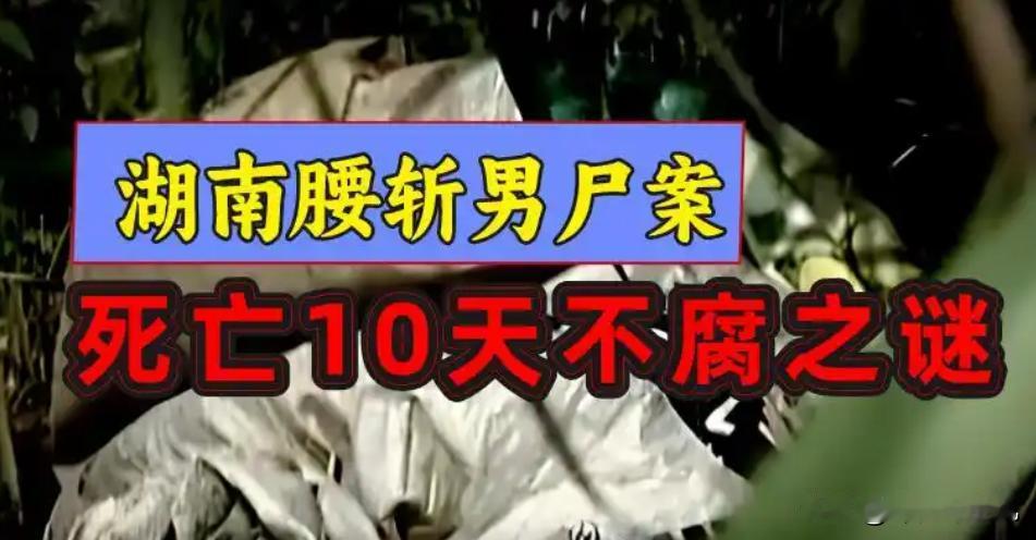 怪案纪实：一具被腰斩的男尸，腐烂程度远超二十天，法医通过蛆虫推算他只死了十天？这