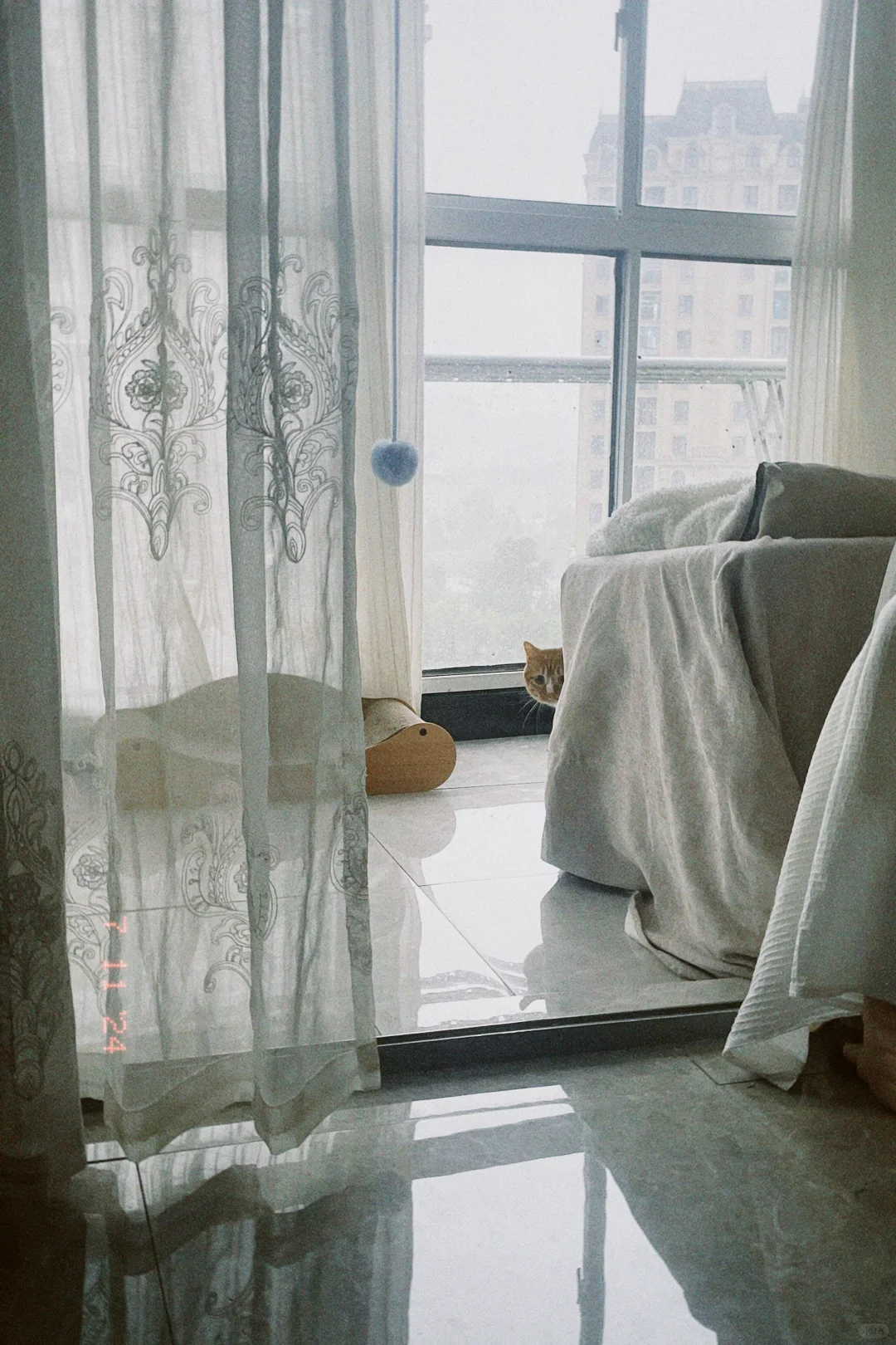 雨天～一颗猫猫头🤤